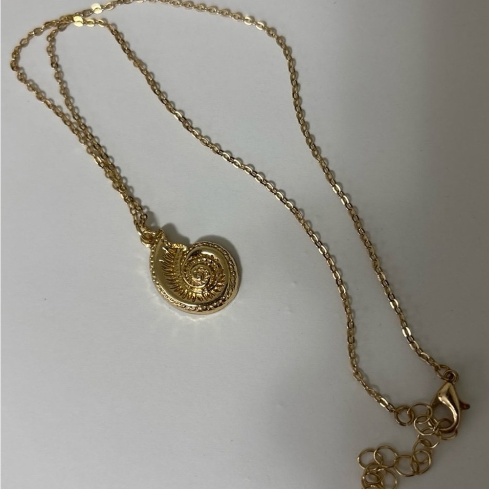 Conch Shell Necklace - Picture 1 of 1
